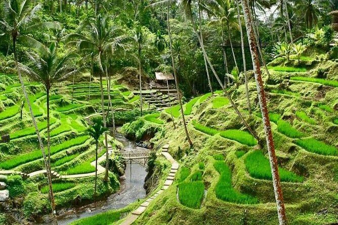 Best of Ubud With Ulu Petanu Waterfall Private Guided Tour - Key Points