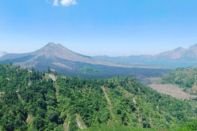 Best of Ubud With Ulu Petanu Waterfall Private Guided Tour - What Sets This Tour Apart?