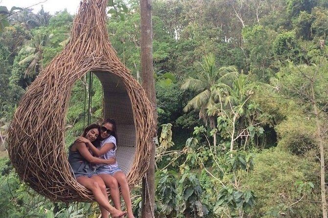 Best of Ubud With Ulu Petanu Waterfall Private Guided Tour - Who Is This Tour Best For?