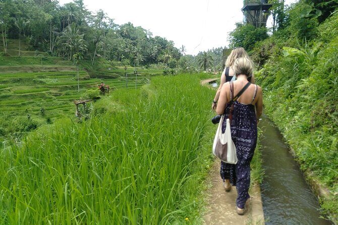 Best of Ubud With Ulu Petanu Waterfall Private Guided Tour - Final Thoughts