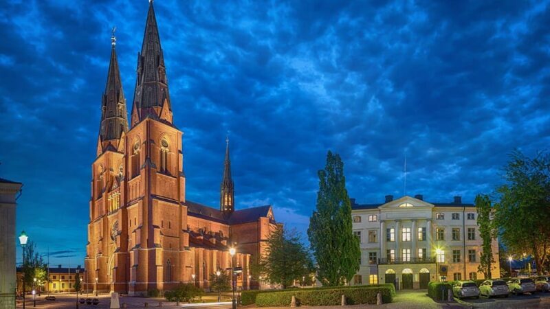 Best of Uppsala: Private Walking Tour with a Local - Key Points