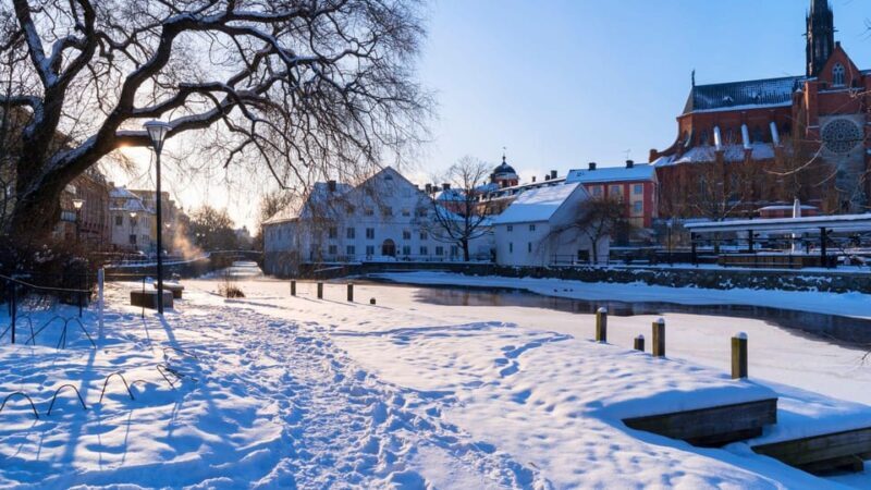 Best of Uppsala: Private Walking Tour with a Local - Who Should Consider This Tour?