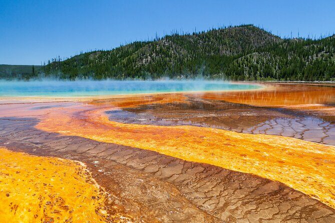 Best of Yellowstone National Park from Gardiner - Private Tour - Who Is This Tour Best For?