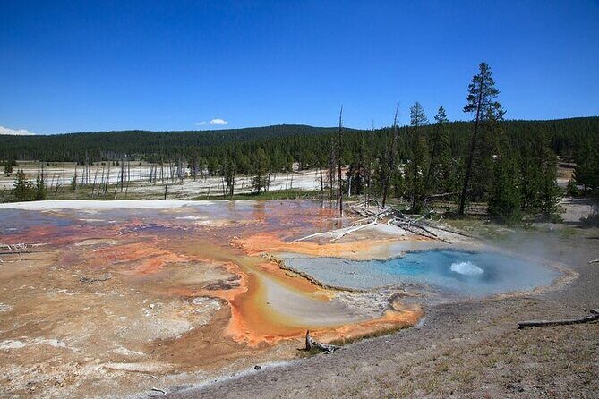 Best of Yellowstone Nat'l Park from W Yellowstone - Private Tour - Key Points