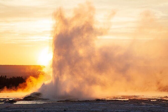 Best of Yellowstone Nat'l Park from W Yellowstone - Private Tour - The Sum Up