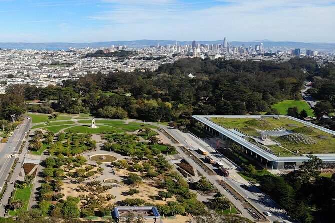 Best Private Custom Half-Day City Tour of San Francisco - Who Should Consider This Tour?