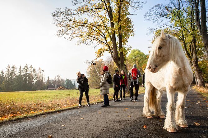 Best Reviews: Saxon and Bohemian Switzerland Day Trip from Prague - What to Expect on the Tour