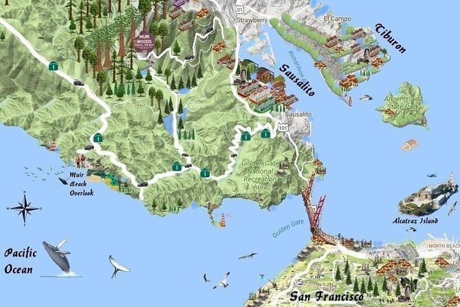 Best San Francisco, Muir Woods & Sausalito Private Combo Tour - Exploring the Tour in Detail