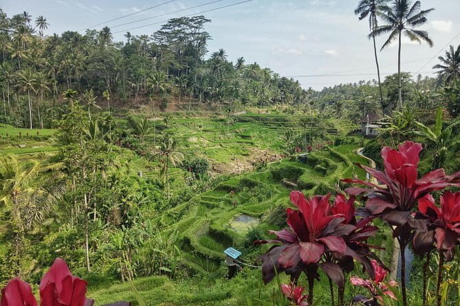 Best Selection Tour In Ubud-Bali - Key Points