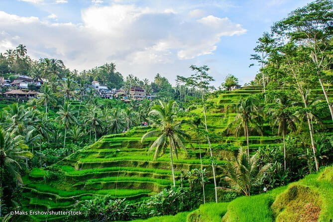 Best Selection Tour In Ubud-Bali - Authentic Insights from Reviews