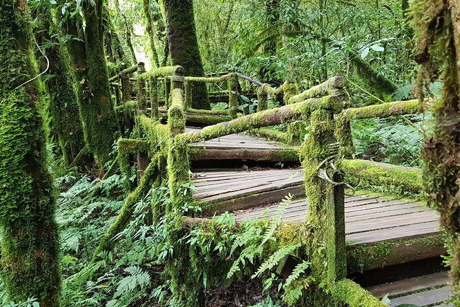 Best seller! Doi Inthanon National Park Oneday tour with the Highest point - Who’s It Perfect For?