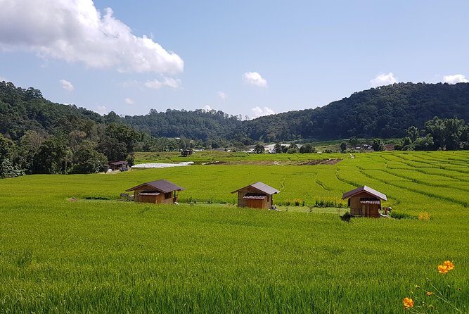 Best seller! Doi Inthanon National Park Oneday tour with the Highest point - FAQs