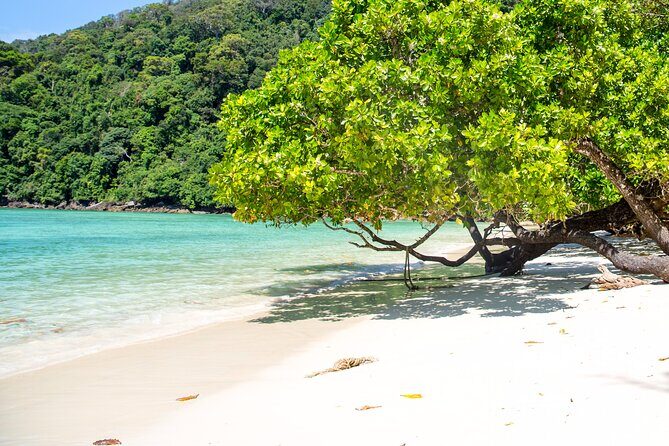 Best Seller - Surin Islands Snorkeling Trip from Khao Lak - Who Would Love This Tour?