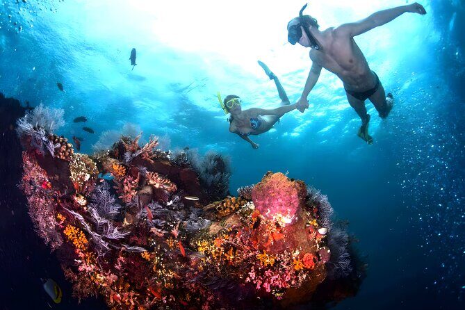 Best Snorkeling Activity in Blue Lagoon Beach Bali - An In-Depth Look at the Blue Lagoon Snorkeling Tour