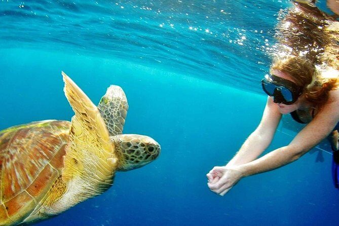 Best Snorkeling Trip at Blue Lagoon Bali - An In-Depth Look at the Blue Lagoon Bali Snorkeling Tour