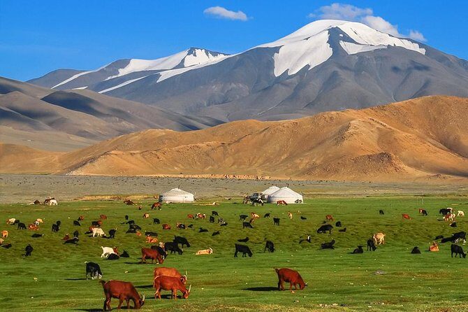 Best tour in Mongolian 7 days - What We Love About This Tour