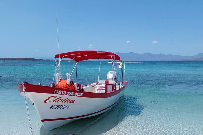 Best Tour to Coronados Island - Wildlife Encounters on the Way