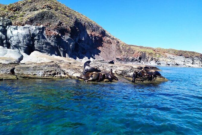 Best Tour to Coronados Island - Snorkeling and Beach Time