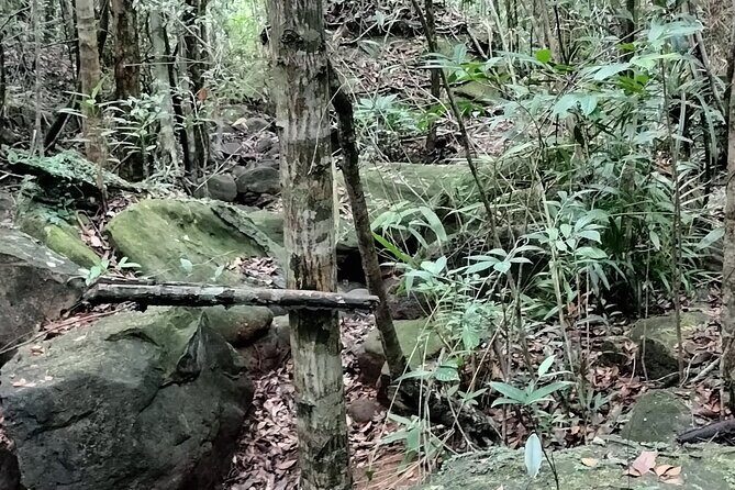 Best Trekking Tour In Phu Quoc (a Ngon Waterfall) - Practical Tips for Booking and Participating