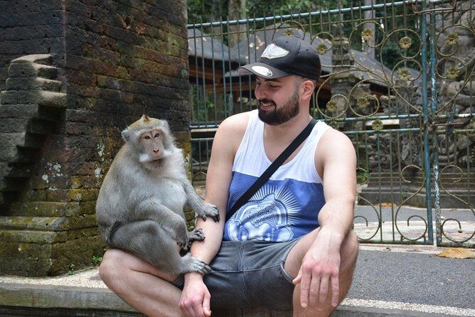 Best Ubud & Tanah Lot Excursion - A Deep Dive into the Itinerary
