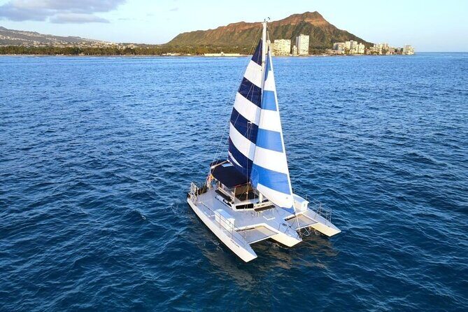 Best Waikiki Whale Watching in Honolulu: Whales Guaranteed - An In-Depth Look at Waikiki Whale Watching with Three Tiki Sailing