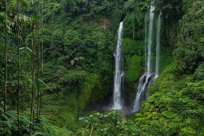 Best Waterfall In Bali Full Day Tour - Introduction to the Waterfall Adventure
