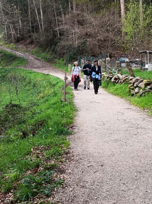 Best Way from Tui to Santiago - Who This Tour Is Best For