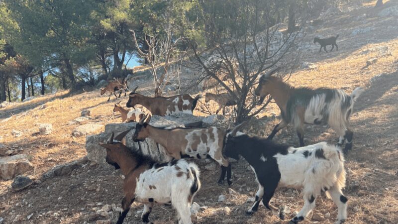 Between sea and hills: in the footsteps of Allauch, Aix, Marseille - A Well-Balanced Tour Through Provences Heart