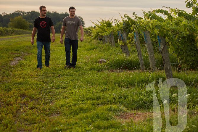 Between The Lines Classic Wine Tasting - Summary: Who Is This Tour Best For?