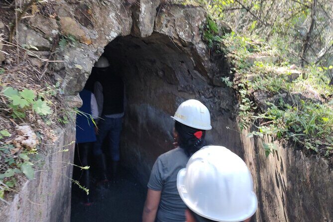 Between Tunnels and Bats - Who Should Consider This Tour?