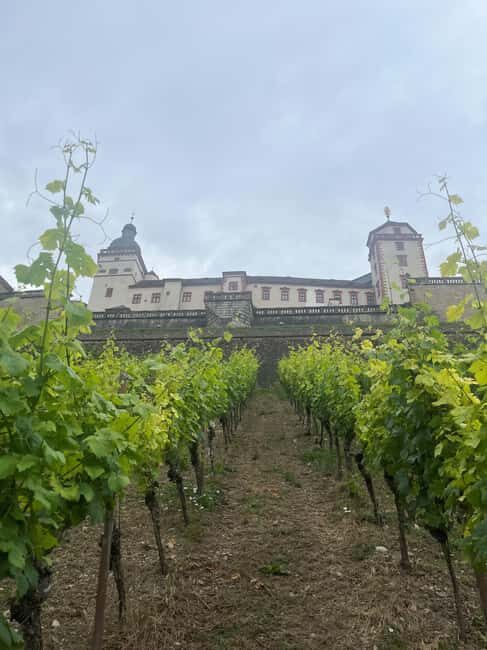 Between vineyards and a royal residence  enjoy Würzburg's wines with a view - Who Will Love This Tour?