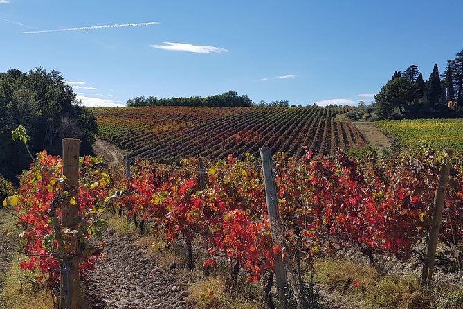 Bevagna E-Bike & Wine Tour - The Experience That Shines