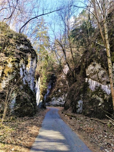 Beyond Brno: Best of Czech Caves - Full-Day Hiking Tour - The Scenic 5-Kilometer Hike & Other Highlights