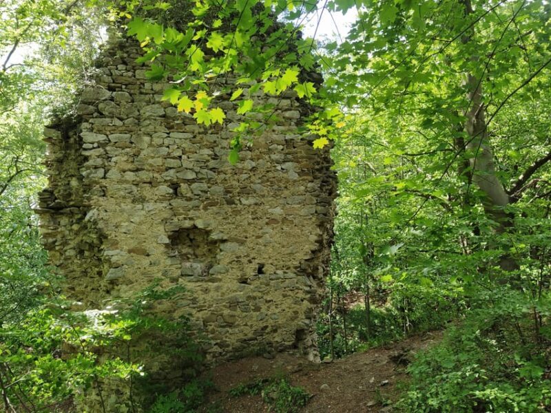 Beyond Brno: Secrets of Moravian Nature - Half-Day Tour - Who Should Consider This Tour?