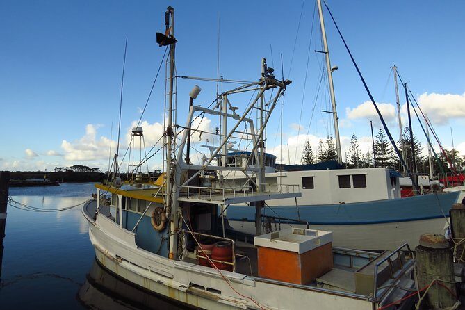 Beyond Byron Hinterland Tour - The Value of the Experience