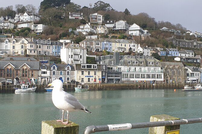 Beyond Paradise TV Show Locations Tour - Authentic Experiences and Hidden Gems