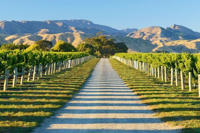 Beyond the Vines - Full-Day Marlborough Wine Tasting Tour - Frequently Asked Questions