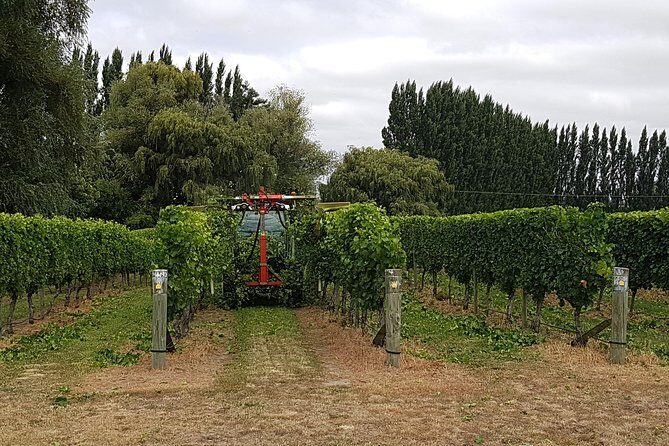 Beyond the Vines - Full-Day Marlborough Wine Tasting Tour - Final Thoughts