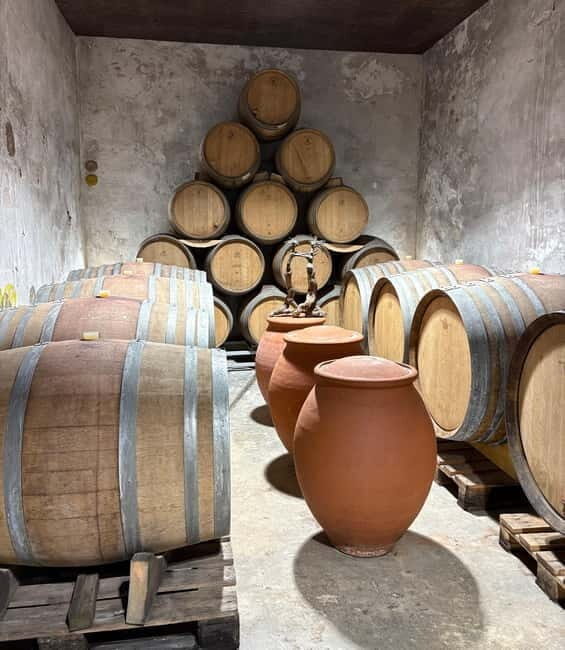 Béziers: Wine and Oyster Tasting Tour at Thau lagoon - An Overview of the Tour Experience