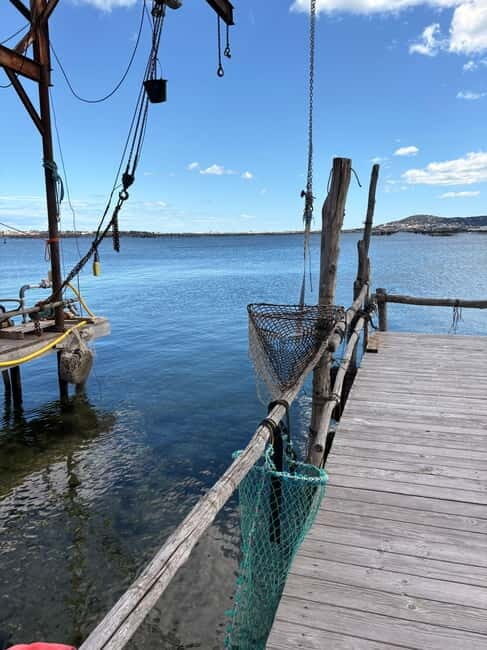 Béziers: Wine and Oyster Tasting Tour at Thau lagoon - Whats Included & Whats Not