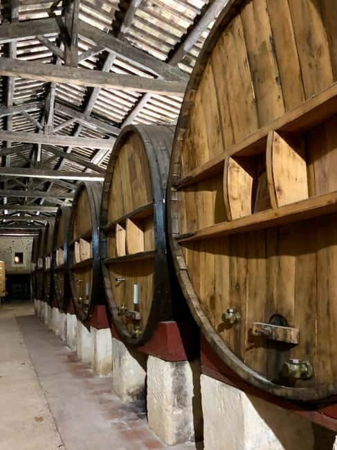 Béziers: Wine and Oyster Tasting Tour at Thau lagoon - Who Will Love This Tour?