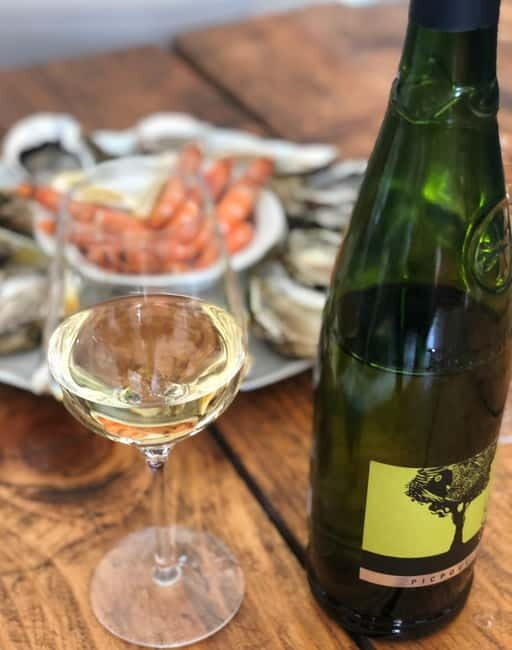 Béziers: Wine and Oyster Tasting Tour at Thau lagoon - Final Thoughts