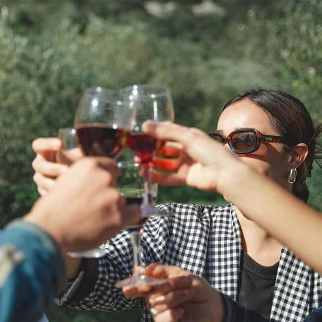 Béziers : Wine Tours & Wine tasting - An In-Depth Look at the Béziers Wine Tour Experience