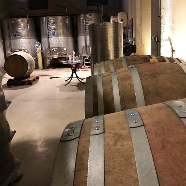 Béziers : Wine Tours & Wine tasting - Final Thoughts: Who Should Book This Tour?