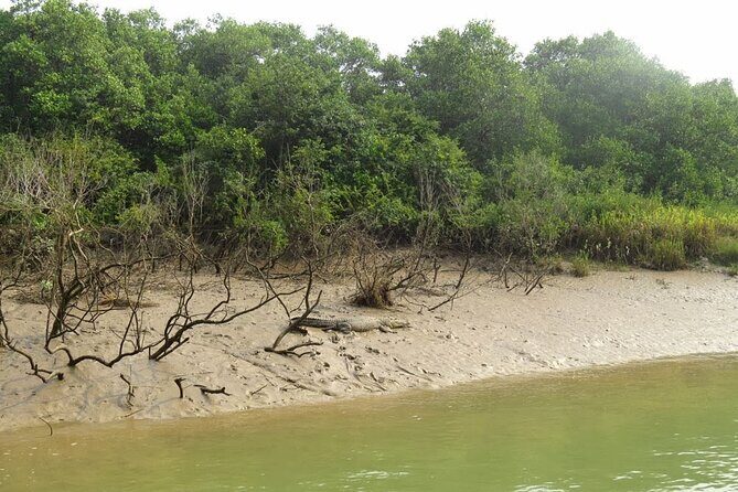 Bhubaneshwar to Bhitarkanika & Similipal Tiger Reserve Tour - Things to Keep in Mind