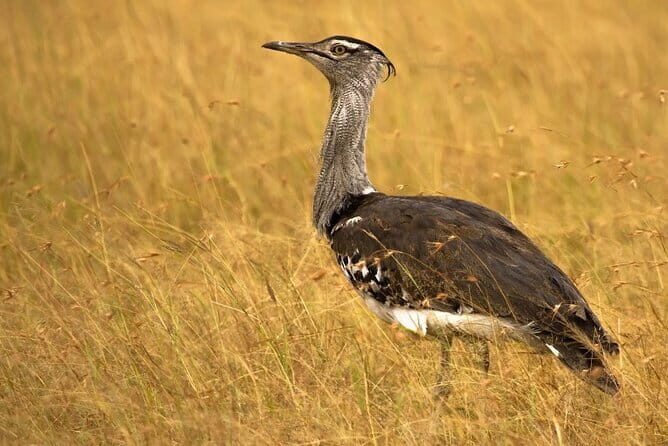 Bhuj to Narayan Sarovar Sanctuary Private Day Tour - Key Points