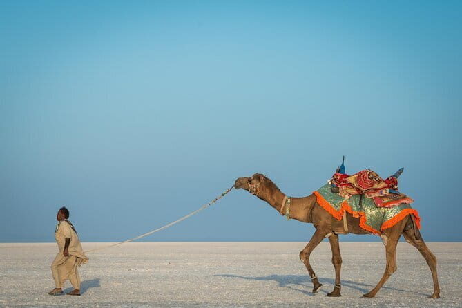 Bhuj to White Rann of Kutch - Discover the White Rann of Kutch: An Authentic 3-Day Tour Review