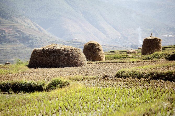 Bhutan Spiritual & Wellness Tour Package With Monastic Stay - Key Points