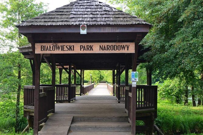 Bialowieza National Park Small Group Tour from Warsaw with Lunch included - Exploring Bialowieza National Park: A Deep Dive
