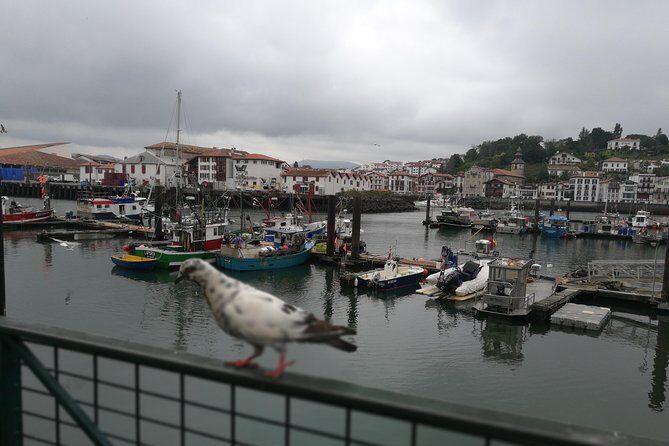 Biarritz & La Côte Basque Private tour - Authentic Experiences and Local Insights
